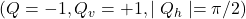 (Q = -1, Q_v = +1, \mid Q_h\mid = \pi/2)