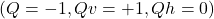 (Q = -1, Qv = +1, Qh = 0)