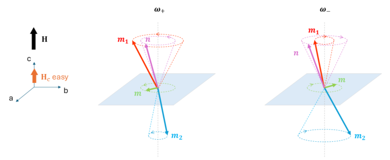 Fig 10. Resonance modes for the c-easy-axis Hematite antiferromagnet below the Morin transition. (below the critical value).