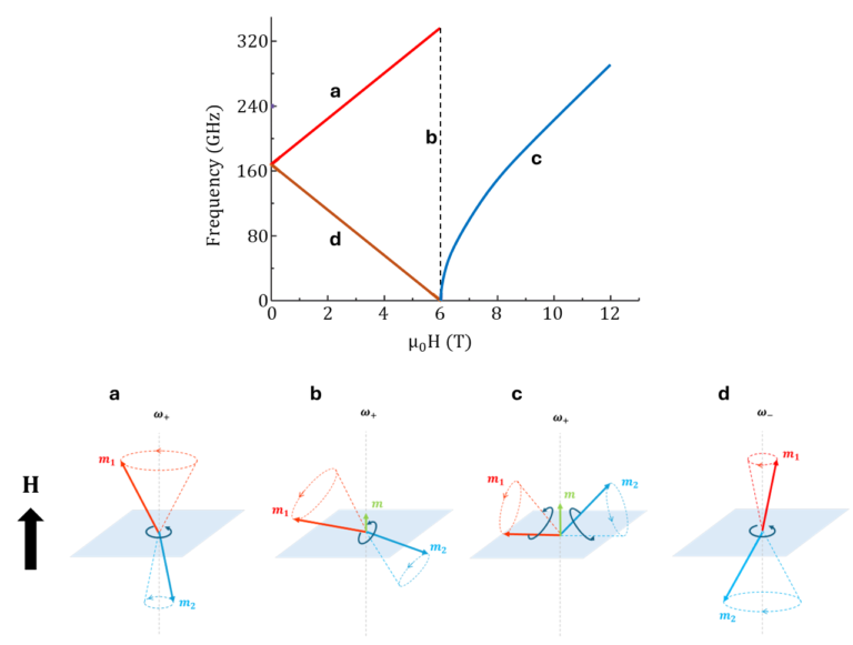 Fig 9. The antiferromagnetic resonance dispersion for parallel alignment of external field and uniaxial anisotropy axis. With increasing field, the degeneracy at zero field breaks up, resulting in a higher (a) and lower (d) frequency mode. At the critical field (b), this is no longer applicable. Instead, the spins flop and we enter the quasi-ferromagnetic regime (c).